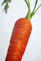 Carota